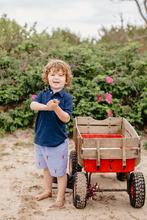 Kids Blue Seersucker Shorts with Red Embroidered Lobsters